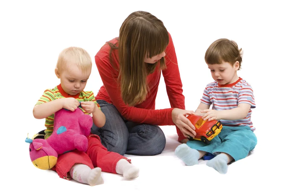 Devenir Particulier Employeur